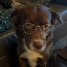 Cornelius Doctor