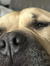 Ellie B...