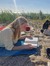Hanne