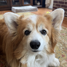 Emily