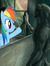 Cadance