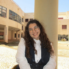 Luz Guerreiro
