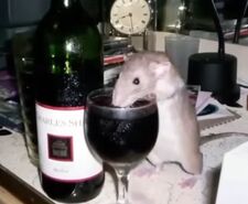 ⋆˚꩜｡ lisa⋆˚꩜｡