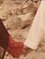 مشاعل