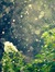 Arman Hossain