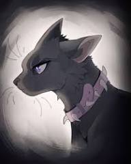 Malice