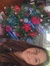 Lynette...