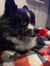 Jorge