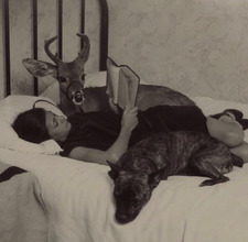 maddie ⭑･ﾟﾟ･*:༅｡:*ﾟ