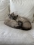Caro_Fi...