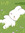 Estela Kuhlenthal