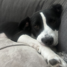 Seamus