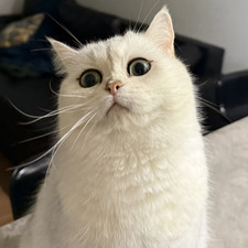 Julie