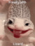 Meoraq Lizardman