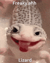 Meoraq Lizardman