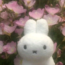 lara ☆ ꩜ ⊹ ࣪ ˖