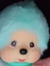 Alora