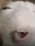 Mason M...