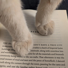 marwa ⋆⭒˚｡⋆