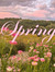 jay bae