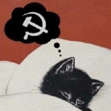 Xamko