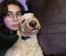 Brisa