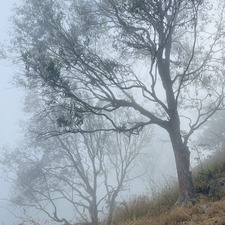 Pruthvi Harshan