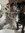 Chelsea Limoges-Black