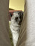 Katarin...