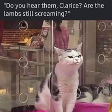 Kat P