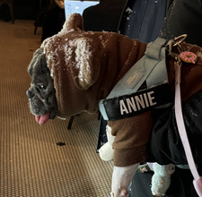 Annie