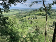 Heide