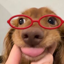 Al