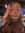 daun makenzie