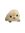 antito