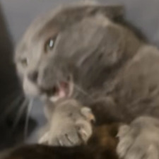 Jon Abhau