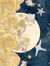 Callisto