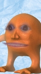 Jay