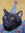 member photo member photo