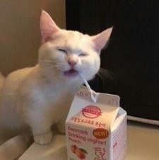 Els