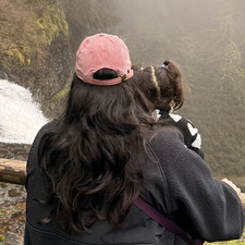 Rachel H Mayea Aluart