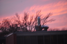 Celia Buell (semi hiatus)