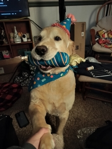 Abbie 