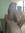 Liva