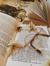 bookish_by_night23