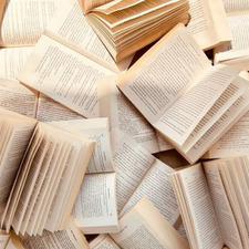 between the spines