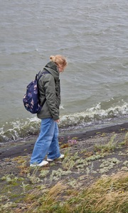 Gerda Menkveld