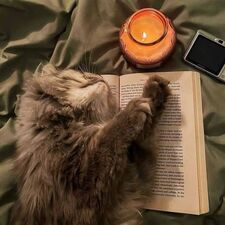 رُحَيمَة عَلاء.