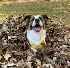 Katie