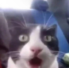 Dan